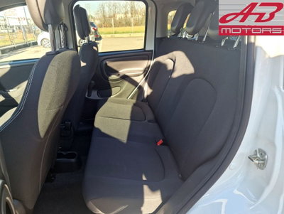 Fiat Panda Cross Cross 1.0 FireFly S&S Hybrid (12)