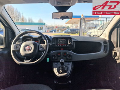 Fiat Panda Cross Cross 1.0 FireFly S&S Hybrid (13)