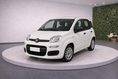 Fiat Panda 1.0 firefly hybrid s&s 70cv 5p.ti usata