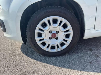 Fiat Panda 1.0 firefly hybrid s&s 70cv 5p.ti (18)