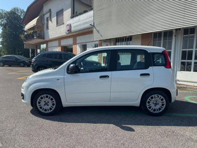 Fiat Panda 1.0 firefly hybrid s&s 70cv 5p.ti (3)