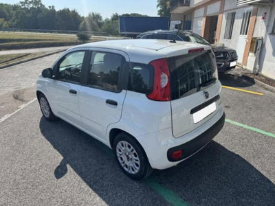 Fiat Panda 1.0 firefly hybrid s&s 70cv 5p.ti (4)