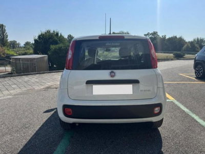 Fiat Panda 1.0 firefly hybrid s&s 70cv 5p.ti (5)
