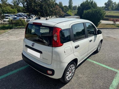 Fiat Panda 1.0 firefly hybrid s&s 70cv 5p.ti (6)