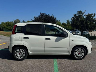 Fiat Panda 1.0 firefly hybrid s&s 70cv 5p.ti (7)