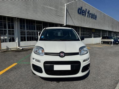 Fiat Panda 1.0 firefly hybrid s&s 70cv 5p.ti (9)