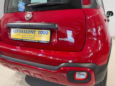 Fiat Panda Cross 1.0 firefly hybrid Cross s&s 70cv 5p.ti (16)