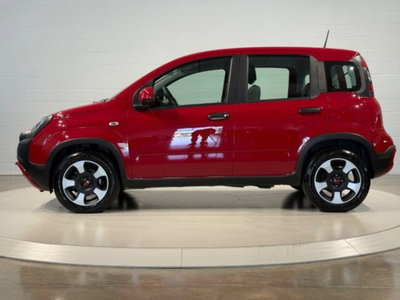 Fiat Panda Cross 1.0 firefly hybrid Cross s&s 70cv 5p.ti (2)