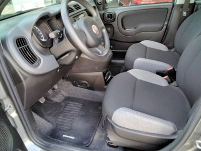 Fiat Panda 1.0 firefly hybrid s&s 70cv 5p.ti (12)