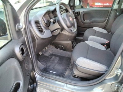 Fiat Panda 1.0 firefly hybrid s&s 70cv 5p.ti (14)