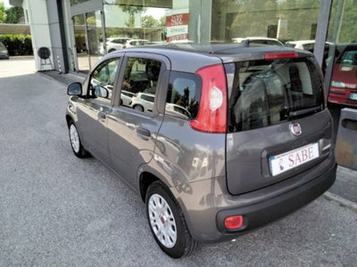 Fiat Panda 1.0 firefly hybrid s&s 70cv 5p.ti (7)