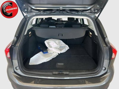 Ford Focus 1.5 EcoBlue 120 CV 5p. Business (14)