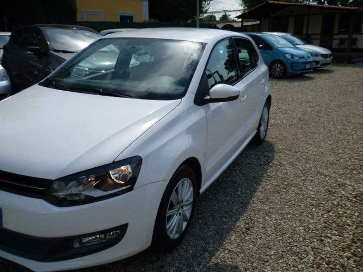 Volkswagen Polo 1.6 TDI DPF 5 porte Comfortline (3)