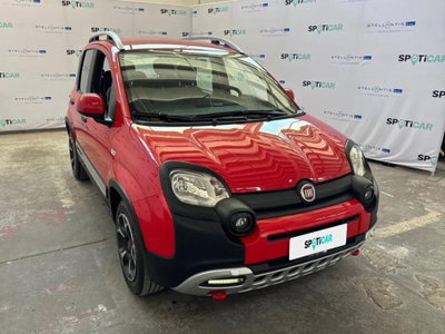 Fiat Panda 1.0 FireFly S&S Hybrid City Cross usata