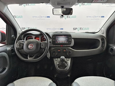 Fiat Panda 1.0 FireFly S&S Hybrid City Cross (8)