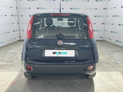 Fiat Panda 1.2 Easy (5)