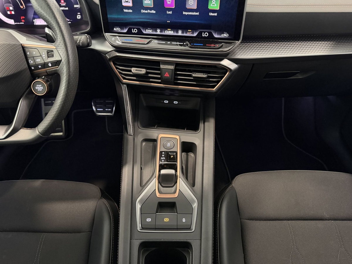 Cupra Formentor Formentor 2.0 TDI (11)