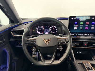 Cupra Formentor Formentor 2.0 TDI (13)