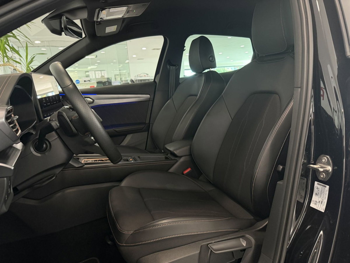 Cupra Formentor Formentor 2.0 TDI (14)