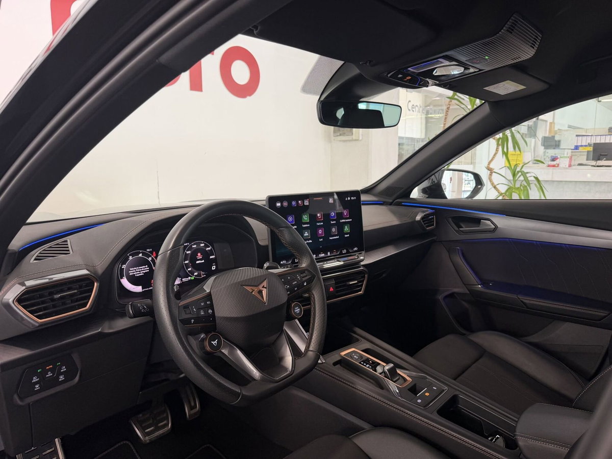 Cupra Formentor Formentor 2.0 TDI (15)