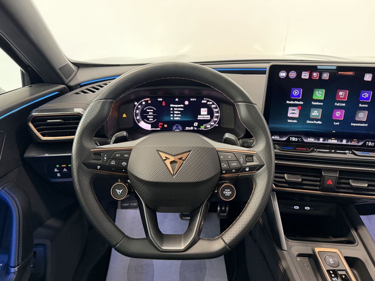 Cupra Formentor Formentor 2.0 TDI (11)