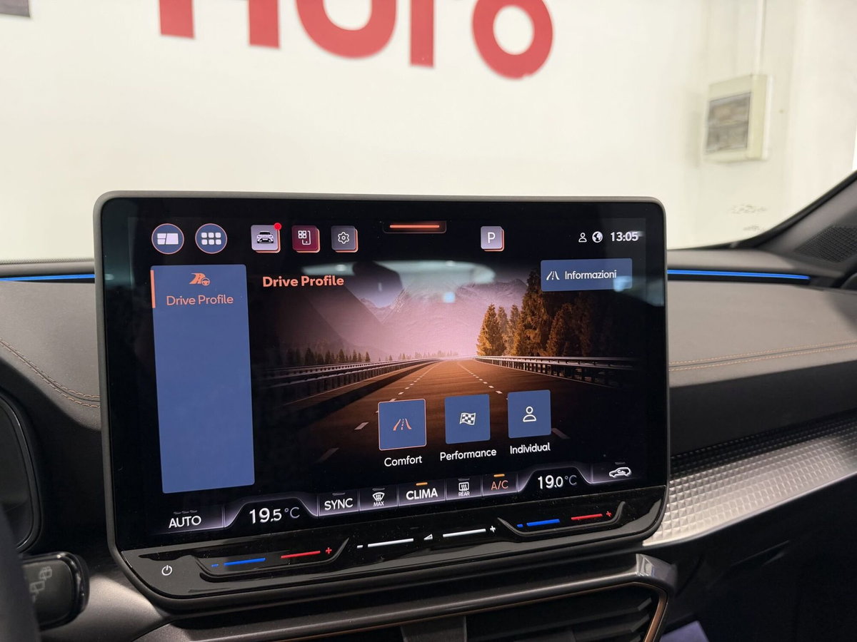 Cupra Formentor Formentor 2.0 TDI (16)