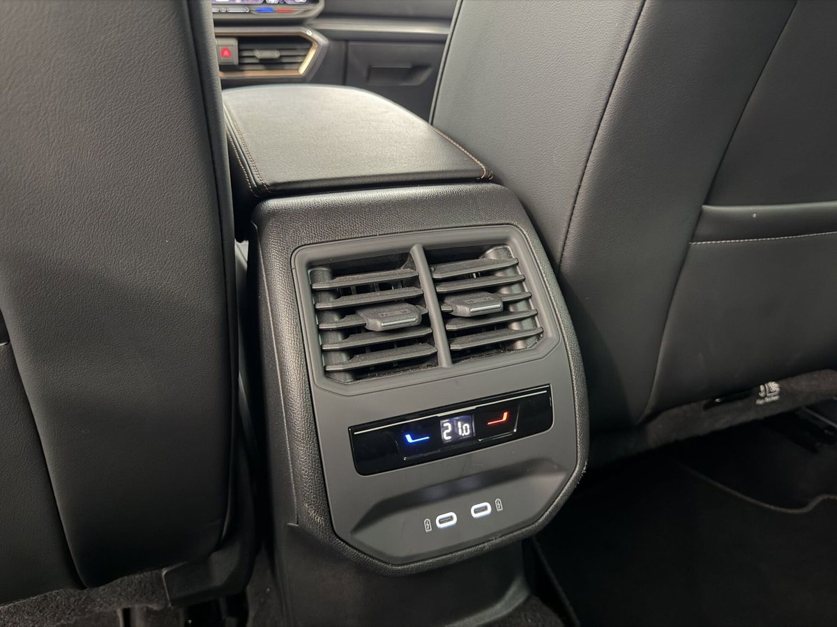 Cupra Formentor Formentor 2.0 TDI (9)