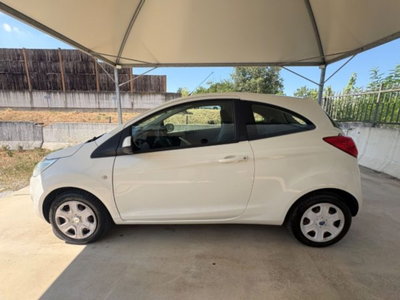 Ford Ka 1.2 8V 69CV (7)