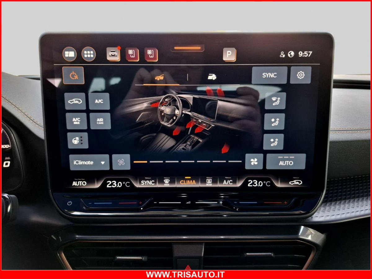 Cupra Formentor Formentor 2.0 TDI (16)