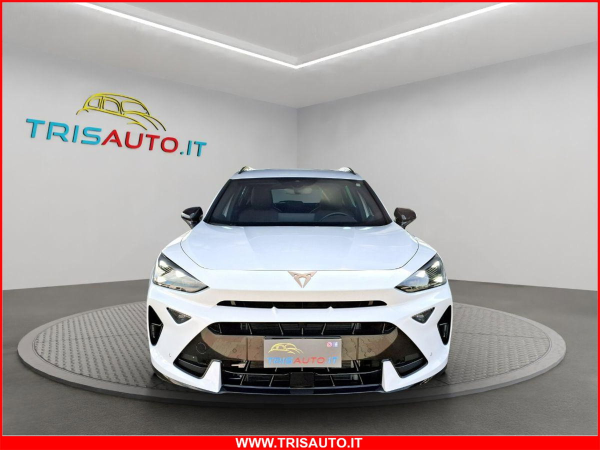 Cupra Formentor Formentor 2.0 TDI (20)