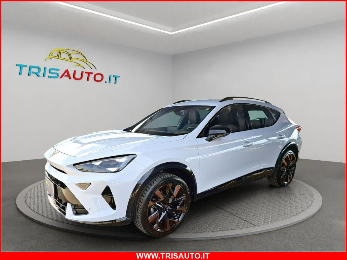 Cupra Formentor Formentor 2.0 TDI (3)