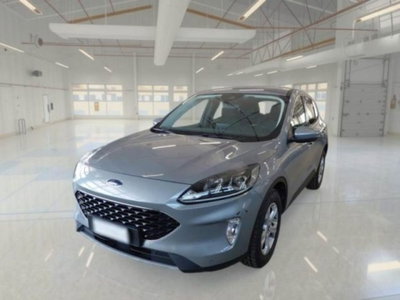 Ford Kuga 1.5 EcoBlue 120 CV aut. 2WD usata