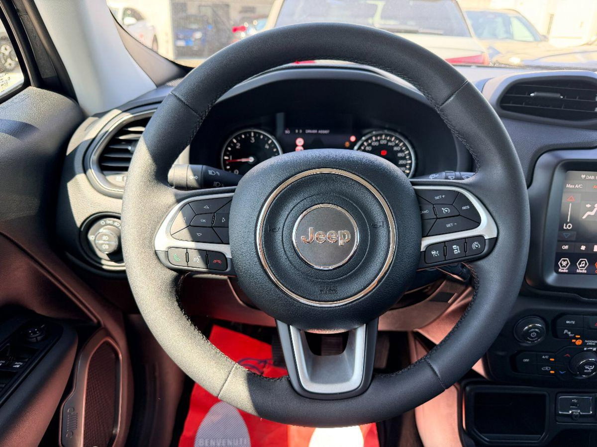 Jeep Renegade 1.6 mjt Limited 2wd 130cv (18)