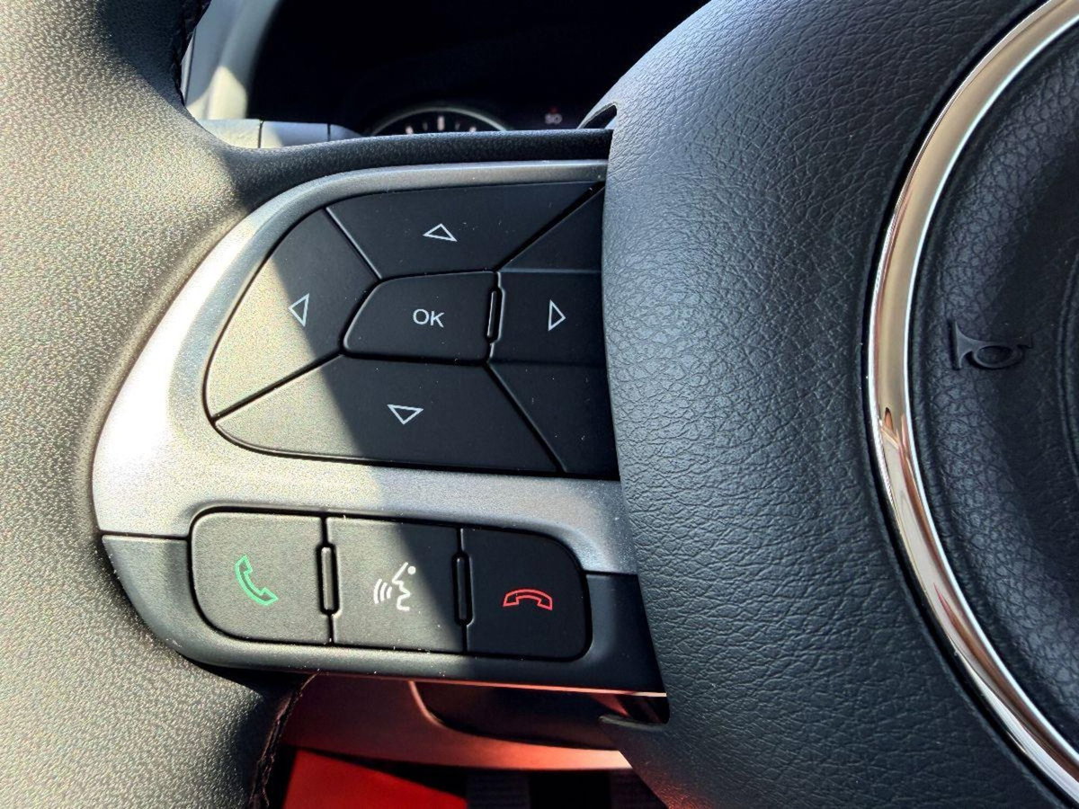 Jeep Renegade 1.6 mjt Limited 2wd 130cv (19)