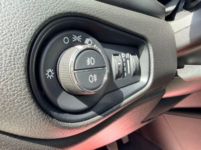 Jeep Renegade 1.6 Mjt 130 CV Business (15)