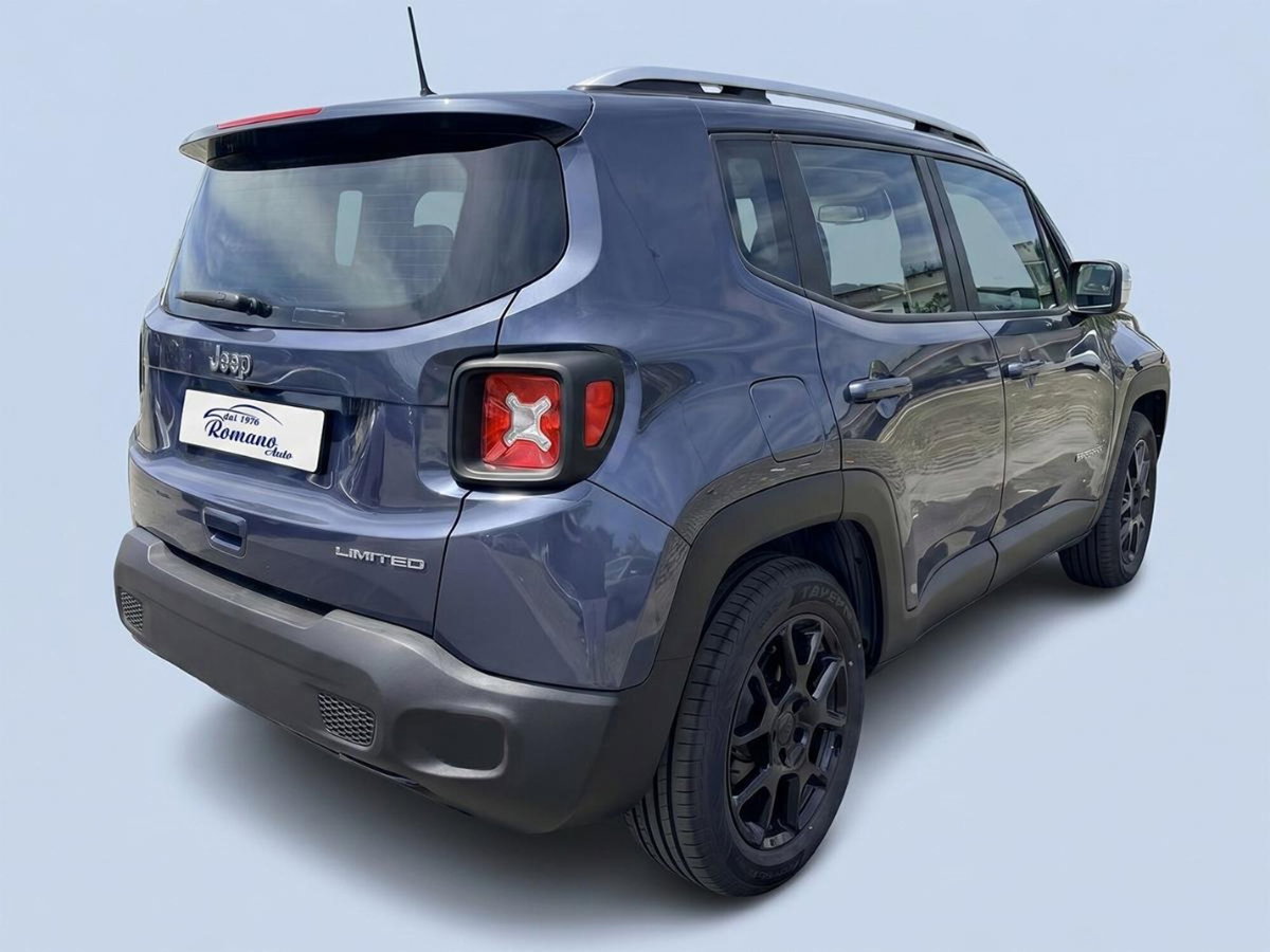 Jeep Renegade 1.6 Mjt 130 CV Business (3)