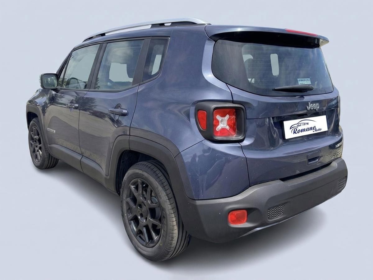 Jeep Renegade 1.6 Mjt 130 CV Business (4)