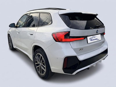 BMW X1 sdrive18d MSport auto (4)