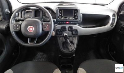 Fiat Panda Cross Cross 1.0 FireFly S&S Hybrid (10)