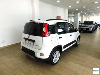 Fiat Panda Cross Cross 1.0 FireFly S&S Hybrid (3)