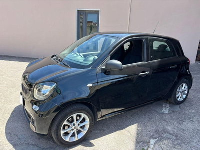 smart forfour forfour 70 1.0 Youngster usata