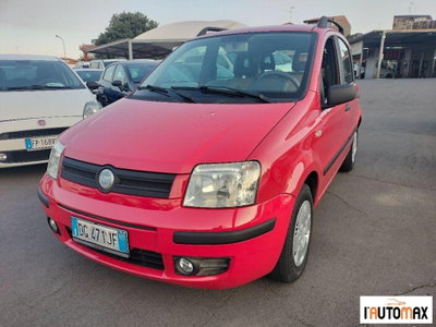 Fiat Panda 1.2 Dynamic usata