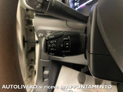Citroen C3 BlueHDi 100 S&S C-Series (18)