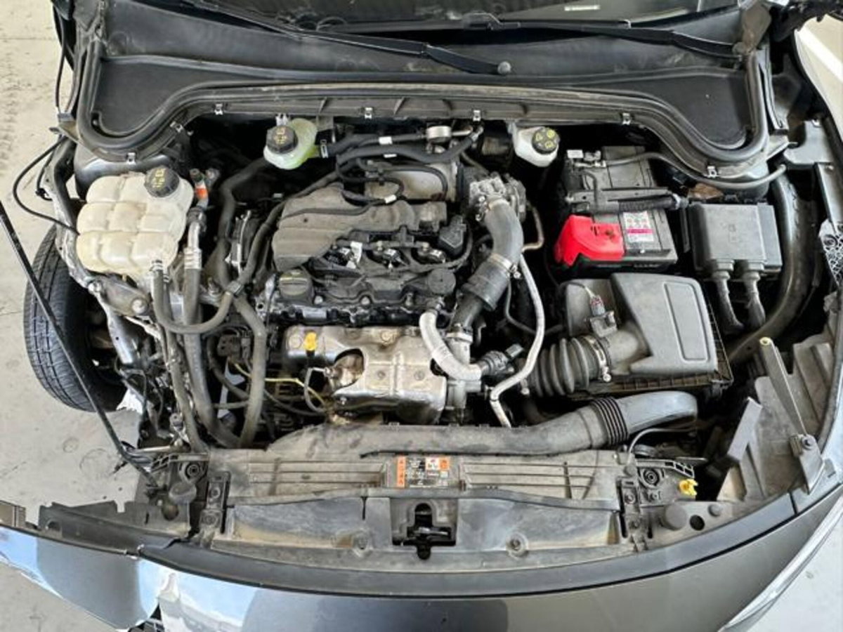Ford Focus Station Wagon 1.5 EcoBlue 115 CV automatico SW ST-Line Design (10)