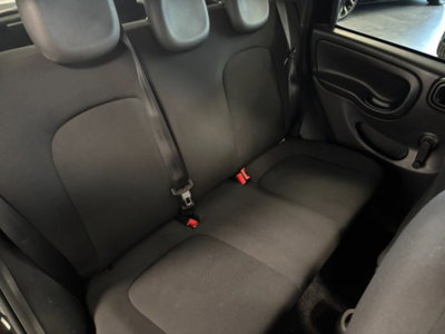 Fiat Panda 1.0 firefly hybrid s&s 70cv 5p.ti (16)