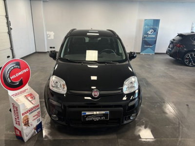 Fiat Panda 1.0 firefly hybrid s&s 70cv 5p.ti (2)