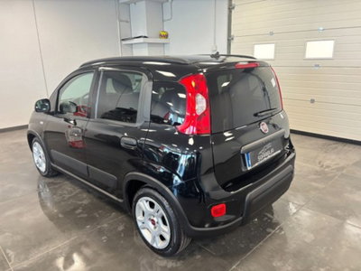 Fiat Panda 1.0 firefly hybrid s&s 70cv 5p.ti (4)
