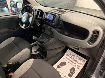 Fiat Panda 1.0 firefly hybrid s&s 70cv 5p.ti (11)