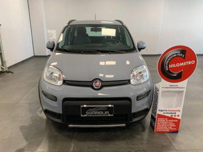 Fiat Panda 1.0 firefly hybrid s&s 70cv 5p.ti (2)