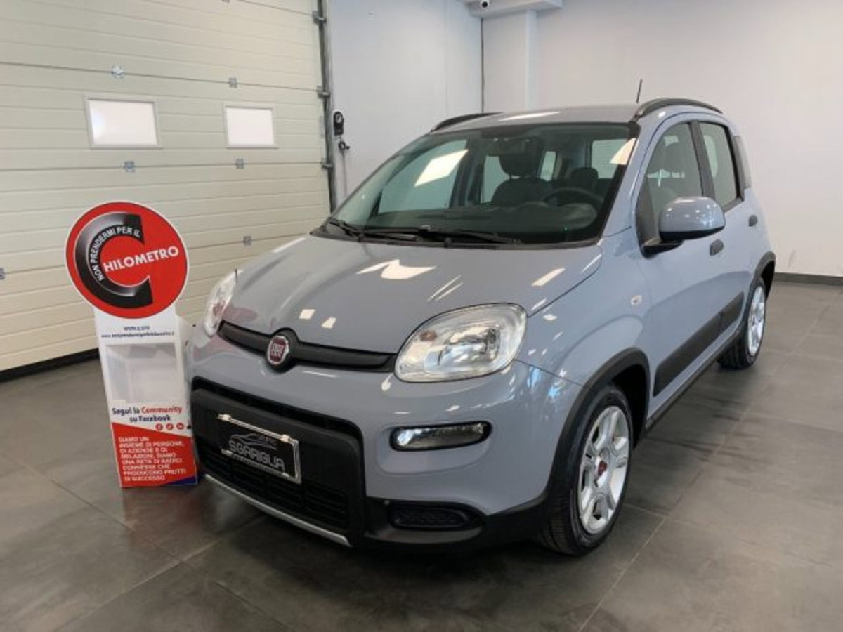 Fiat Panda 1.0 firefly hybrid s&s 70cv 5p.ti (3)